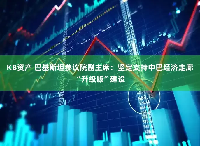 KB资产 巴基斯坦参议院副主席：坚定支持中巴经济走廊“升级版”建设
