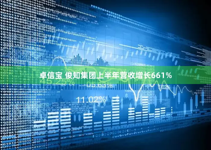 卓信宝 俊知集团上半年营收增长661%